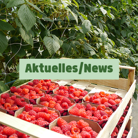 Link zur Blogbeitrags-Seite "Aktuelles und News vom Hof Löbke".