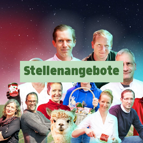 Link zur Seite "Stellenangebote".
