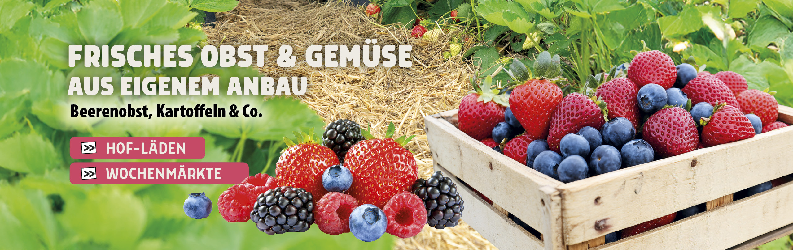 Frisches Obst und Gemüse aus eigenem Anbau
